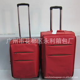 廣州市花都區永利箱包廠 網絡科技領域內的技術開發探索